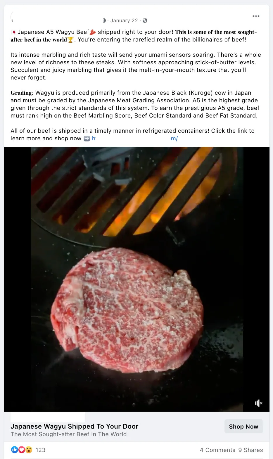Best performing Facebook ad example 1 — ecommerce meat business